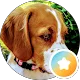 Geri Grove profile picture